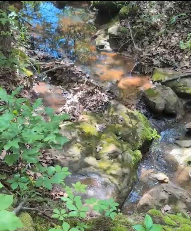 Stream | Image 49
