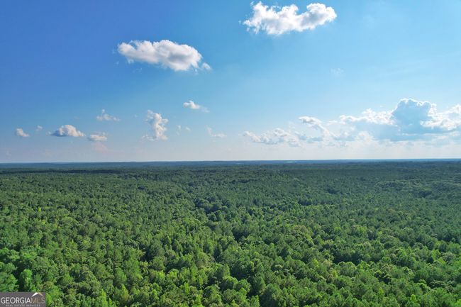 198.62+/- ACRES Apalachee Woods Trl, Home with 0 bedrooms, 0 bathrooms and null parking in Buckhead GA | Image 4