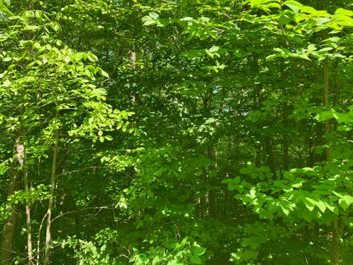 28 Upper Howes Way, Wilmington, VT, 05363 | Card Image