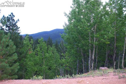 490 Grosbeak Cir, Divide, CO, 80814 | Card Image