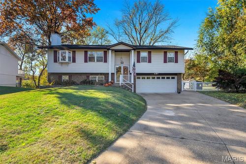 42 Chestnut Ave, Webster Groves, MO, 63119-4105 | Card Image