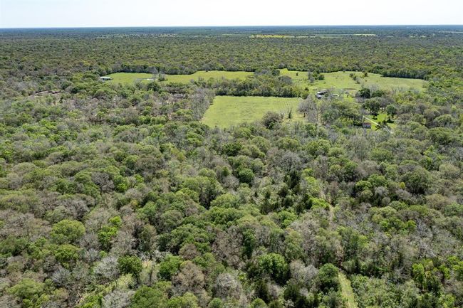 0 County Road 321, Home with 0 bedrooms, 0 bathrooms and null parking in Sweeny TX | Image 14