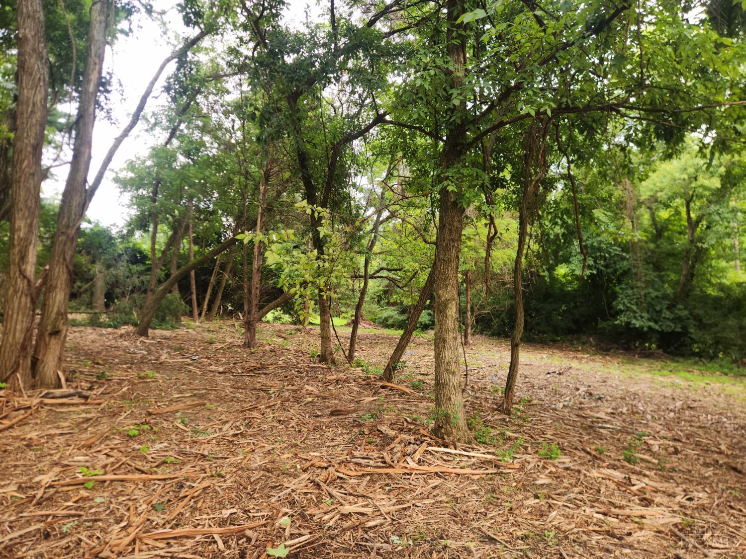 Land in Anderson Twp 5