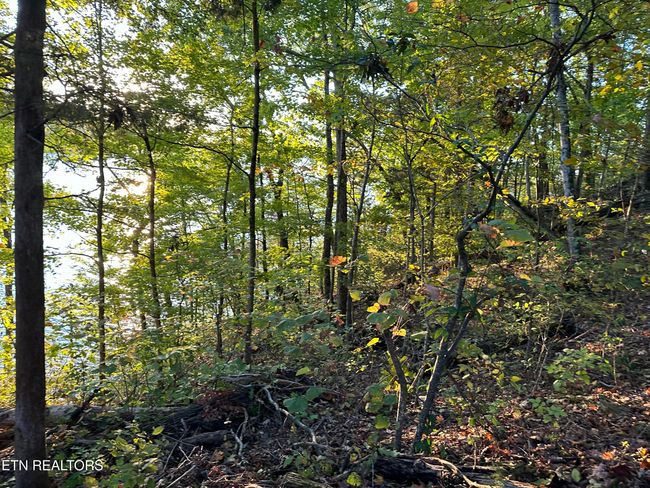 778 Russell Bros Rd, Home with 0 bedrooms, 0 bathrooms and null parking in Sharps Chapel TN | Image 7