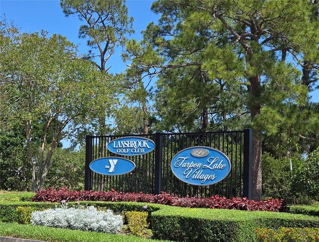 3964 Silk Oak Ln, House other with 3 bedrooms, 2 bathrooms and null parking in PALM HARBOR FL | Image 65
