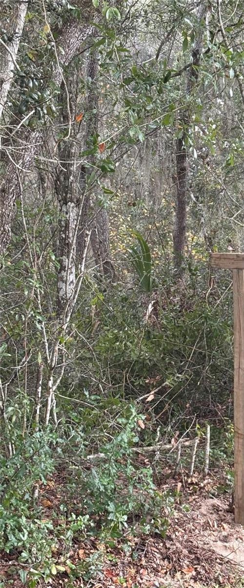 5670 West St, DE LEON SPRINGS, FL, 32130-3709 | Card Image