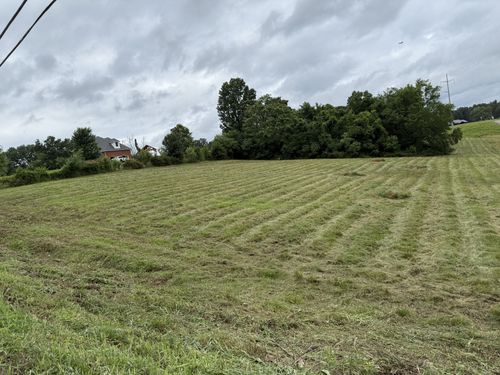 4015 Trough Springs Rd, Adams, TN, 37010-9063 | Card Image