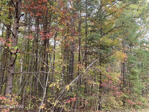 1171 Chuckwagon Trl, Grimsley, TN, 38565-5070 | Card Image