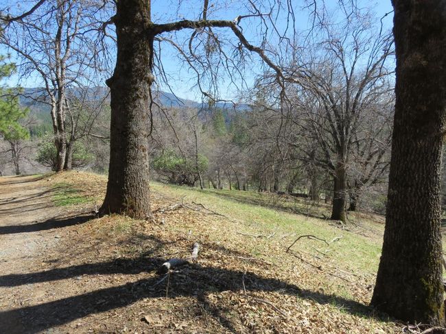 4196 Bald Mountain Rd, Home with 0 bedrooms, 0 bathrooms and null parking in West Point CA | Image 27