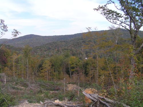 255 Leonard Smart Road, Beersheba Springs, TN, 37305 | Card Image