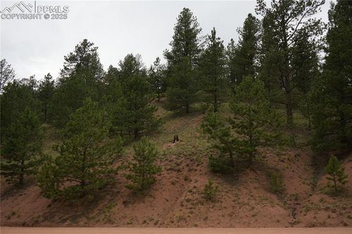 557 Gold King Dr, Cripple Creek, CO, 80813 | Card Image