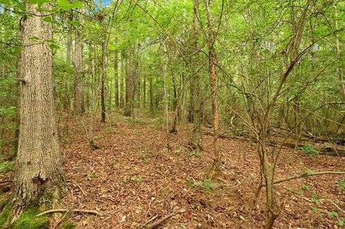TBD County Road 796, Cullman, AL, 35055 | Card Image
