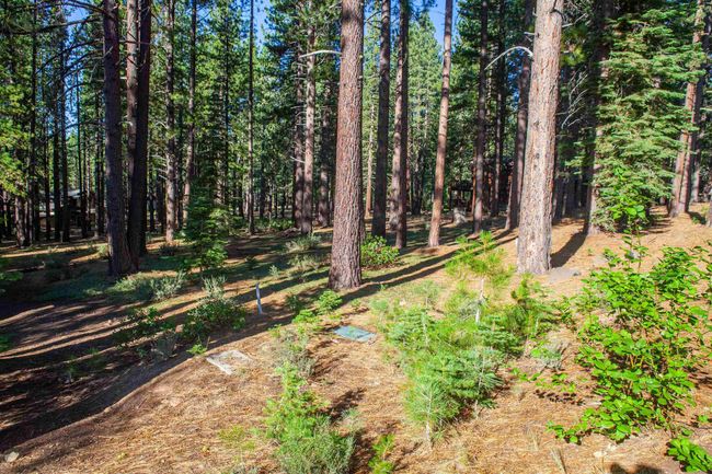 11561 Bottcher Loop, Home with 0 bedrooms, 0 bathrooms and null parking in Truckee CA | Image 5