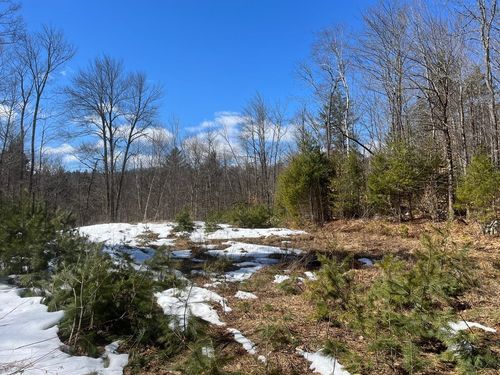 00 Pratt Bridge Rd, Jamaica, VT, 05343 | Card Image