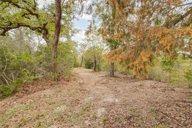 Trail | Image 18