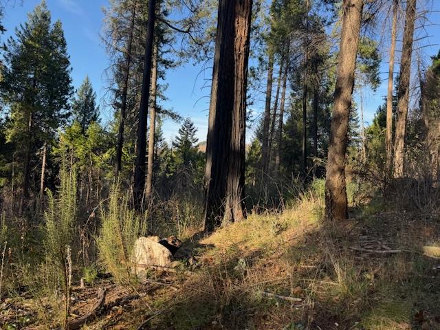 Land in Grizzly Flats 4