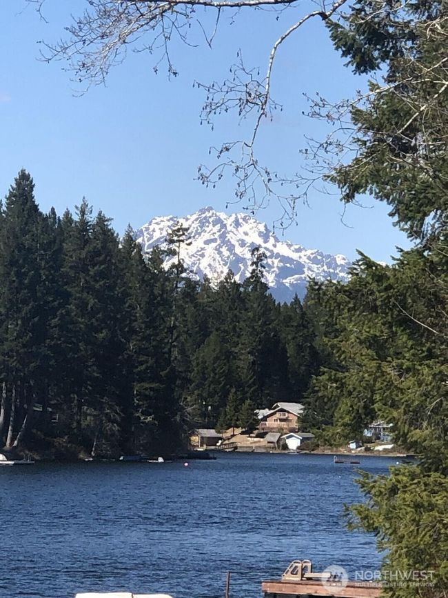 This is the view you will have from your dock and your home site. These peaks are part of the Olympic Mountains. | Image 38