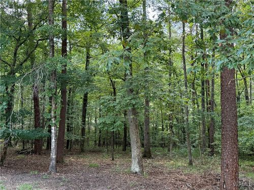 0 Bridewell Cir, Mc Calla, AL, 35111 | Card Image