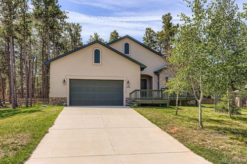 1163 Ptarmigan Dr, Woodland Park, CO, 80863-8004 | Card Image