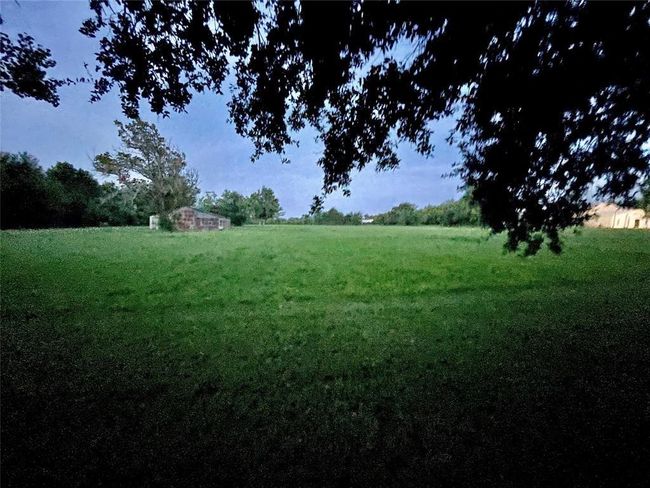 Cleared Land | Image 7