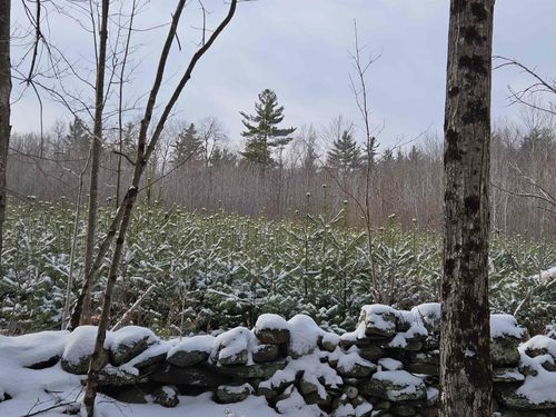 47 Highbridge Rd, Lyme, NH, 03768-3413 | Card Image