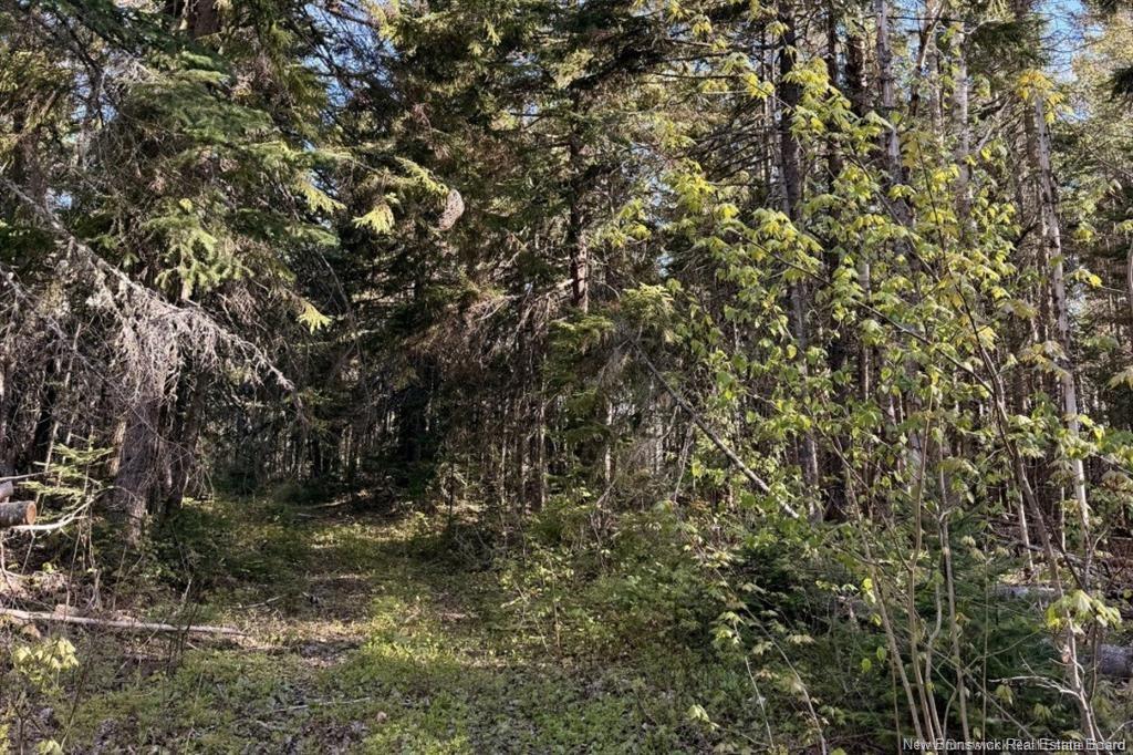 Land in Portage Vale 3