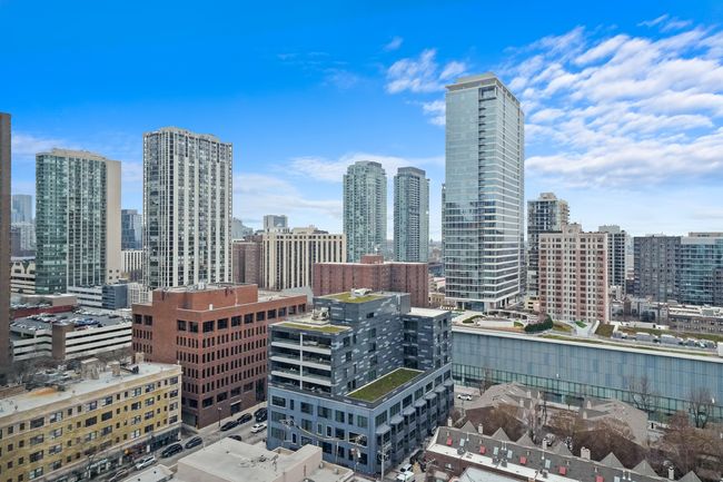 APT-1407N - 1221 N Dearborn St, Condo with 1 bedrooms, 1 bathrooms and null parking in Chicago IL | Image 18