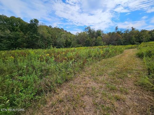 00 Medley Amonette Rd, Buffalo Valley, TN, 38548 | Card Image