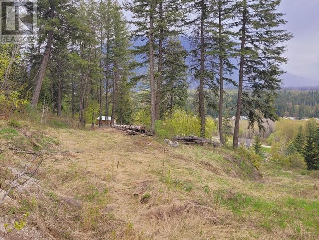 24 - 2481 Squilax Anglemont Rd, Home with 0 bedrooms, 0 bathrooms and null parking in Lee Creek BC | Image 12