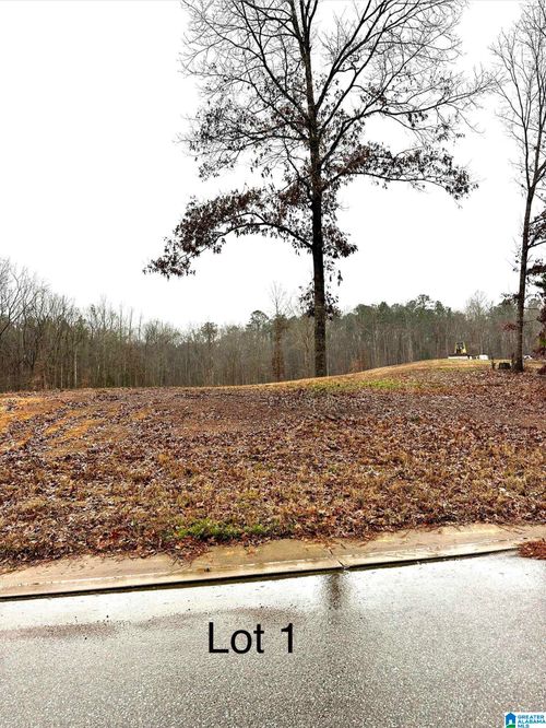1-25 Olivia Lane, WOODSTOCK, AL, 35184 | Card Image