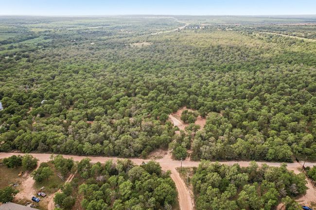 Drone / aerial view featuring a forest view | Image 7