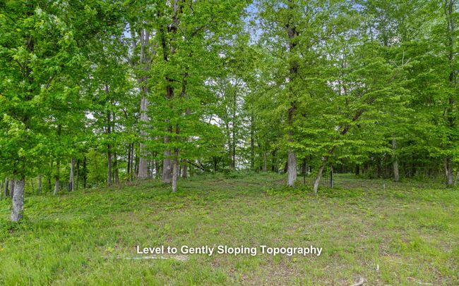 15913 Channel Point Dr, Home with 0 bedrooms, 0 bathrooms and null parking in Sale Creek TN | Image 16