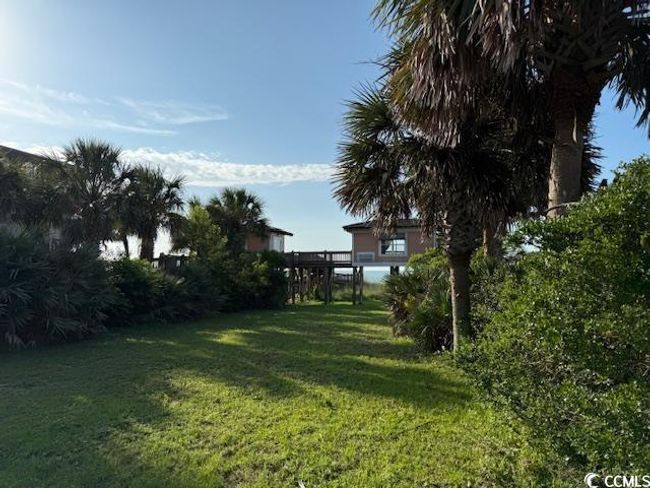 View of green lawn | Image 10