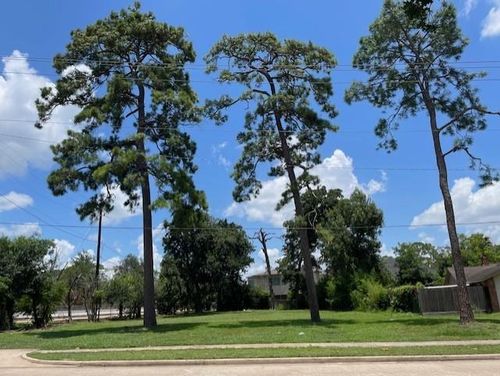12806 Boheme Dr, Houston, TX, 77024-4706 | Card Image