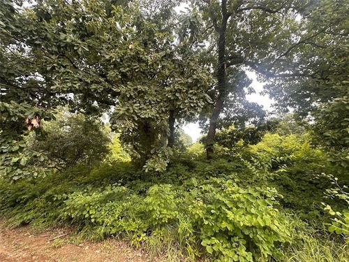 0000 Hickory Ln, Ozawkie, KS, 66070 | Card Image