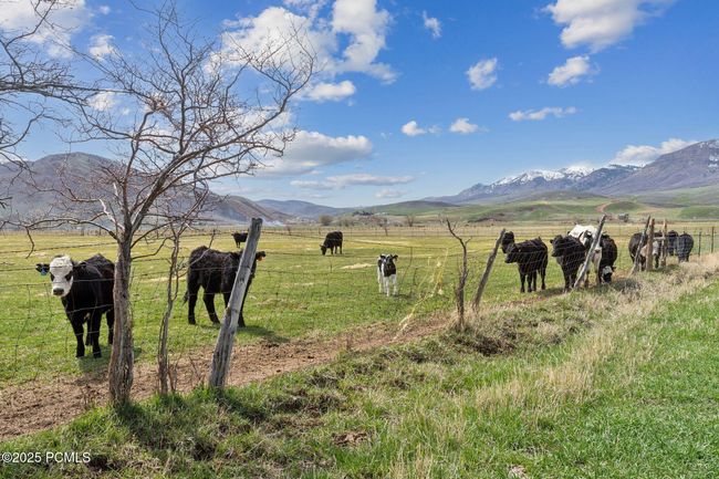 1450 N West Henefer Rd, Home with 0 bedrooms, 0 bathrooms and null parking in Henefer UT | Image 31