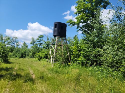 80acres-ON Cth H, RADISSON, WI, 54867 | Card Image