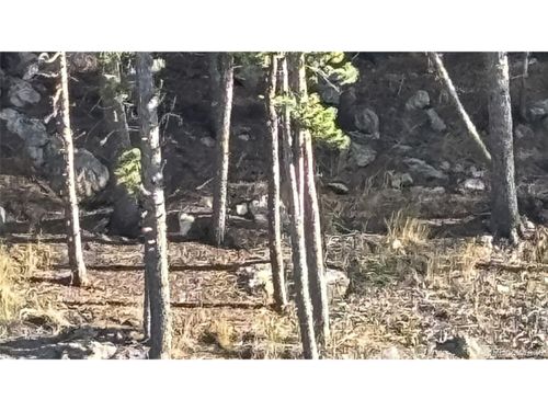 1 Minor St, Black Hawk, CO, 80422 | Card Image