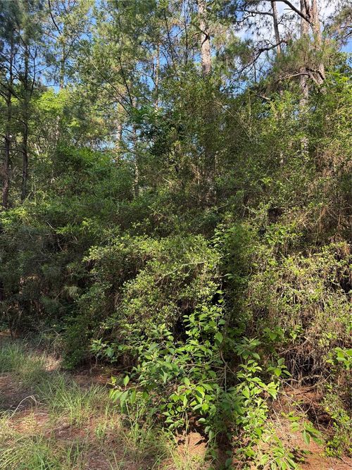 TBD Timberwood Lane, Navasota, TX, 77868 | Card Image