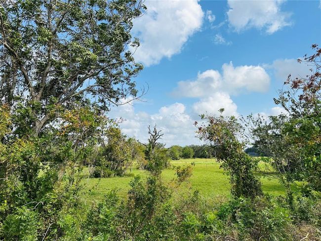 274 Pony Trl, Home with 0 bedrooms, 0 bathrooms and null parking in Angleton TX | Image 4