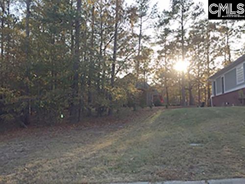 117 Cart Way, Blythewood, SC, 29016-7918 | Card Image