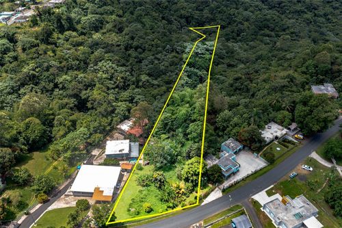 Cuchillas Ward State Road 618 Km1.6, MOROVIS, PR, 00687 | Card Image