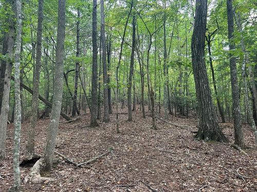17 ac Ace Way, Blairsville, GA, 30512-4803 | Card Image