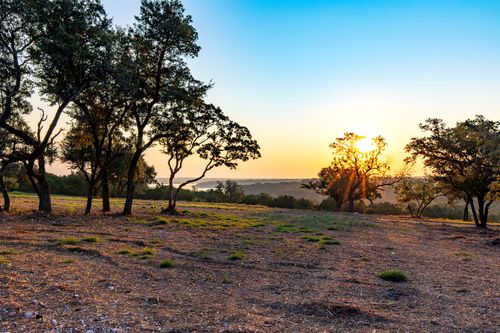 lot-3-20107 Westlake Parkway, Georgetown, TX, 78628 | Card Image
