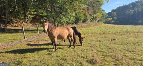 122 Black Rock Rdg, mineral bluff, GA, 30559-3218 | Card Image