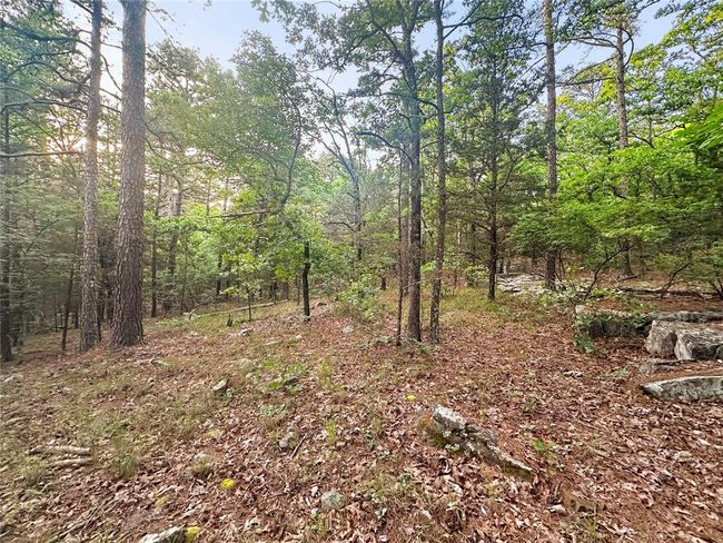 53 - 53 Homestead Trl, Home with 0 bedrooms, 0 bathrooms and null parking in Moyers OK | Image 14