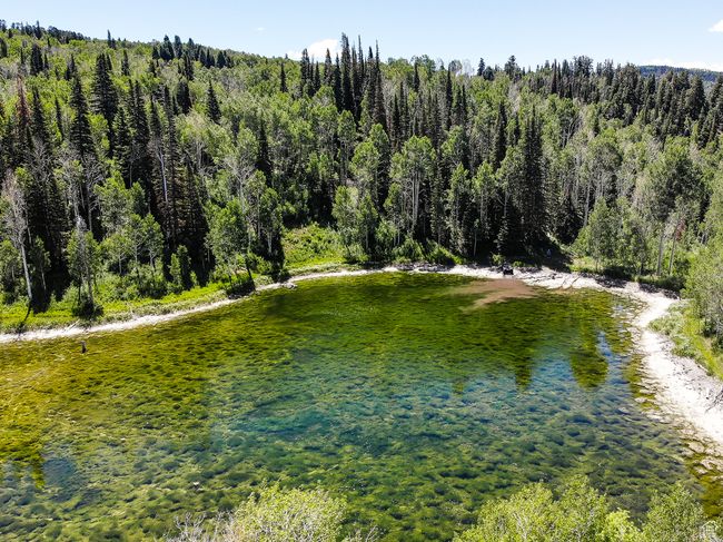 Water view with a forest view | Image 22