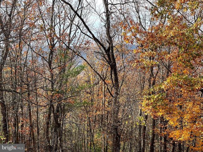 308 Mallard Dr, House other with 4 bedrooms, 3 bathrooms and null parking in BASYE VA | Image 39