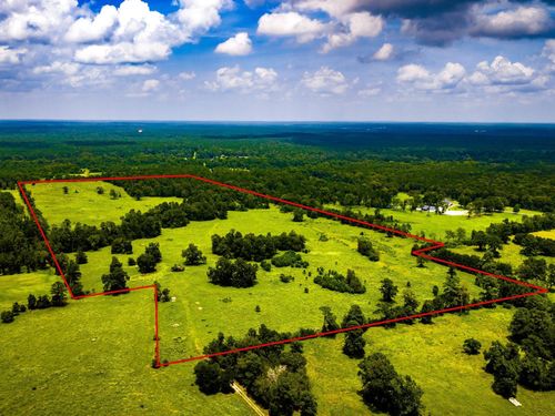 TBD 1375 Road E, New Waverly, TX, 77358 | Card Image