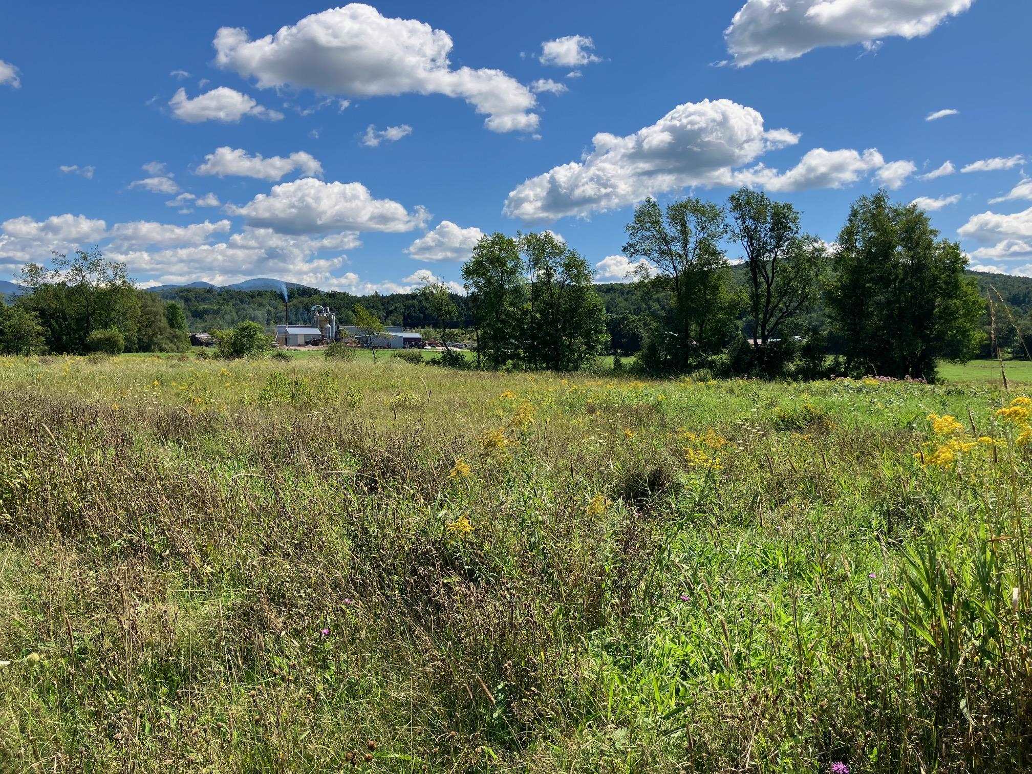 Land in Richford 4